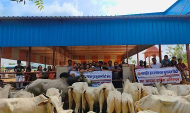 महावीर इंटरनेशनल युवा द्वारा सेवा सप्ताह की शुरुआत गौसेवा से की गई