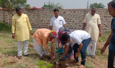 एक पेड़ राष्ट्र के नाम कार्यक्रम के अंतर्गत  पौधरोपण  , नागौर विधायक मोहनराम चौधरी ने भी किया पौधरोपण l 