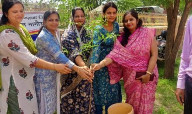 एस वी एस स्कूल में  महावीर इंटरनेशनल नागौर संस्था द्वारा  वृक्षारोपण किया गया