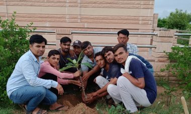 देवनारायण मंदिर में पौधरोपण कर मनाया जन्मदिन।