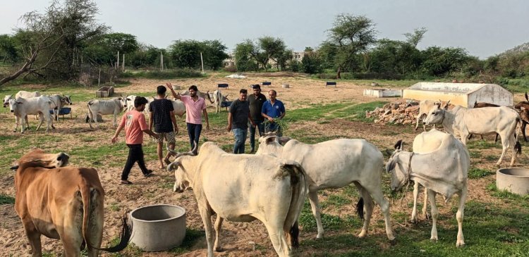 लियो क्लब कुचामन फोर्ट  ने वर्षभर  गौ सेवा का लिया संकल्प