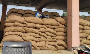 दो दिन बंद रहेगी जायल कृषि उपज मंडी में मूंग खरीद,अब तक इन किसानों की हुई मूंग खरीद।