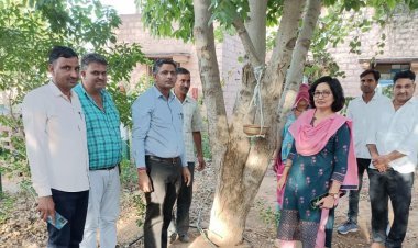 सरकारी कार्यालय में  उपखण्ड  अधिकारी ने लगाये परिंडे।