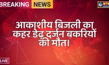 आकाशीय बिजली का कहर डेढ़ दर्जन बकरियों की मौत।